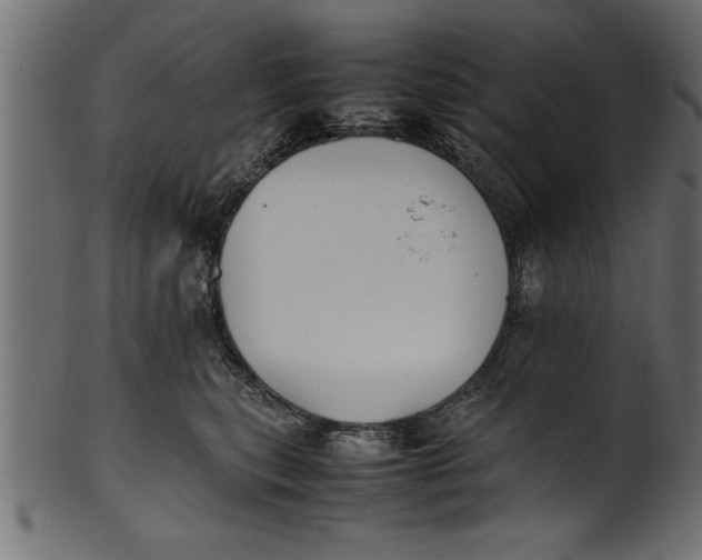 X0000101220567200807181554