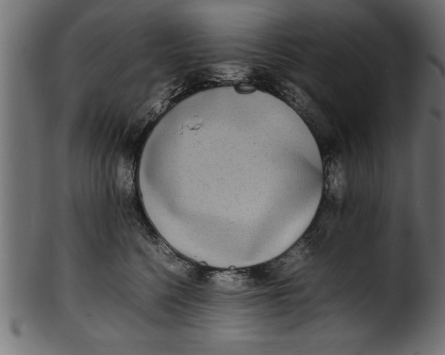 X0000101220568200807181554