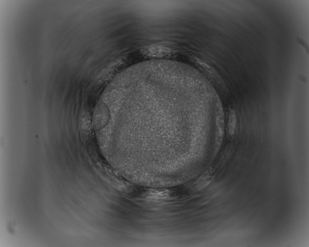 X0000101220569200807181554