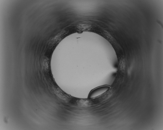 X0000101220570200807181554