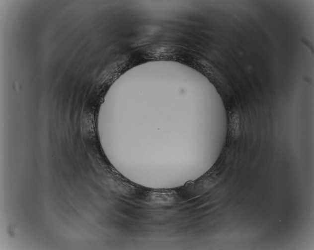 X0000101220571200807181554