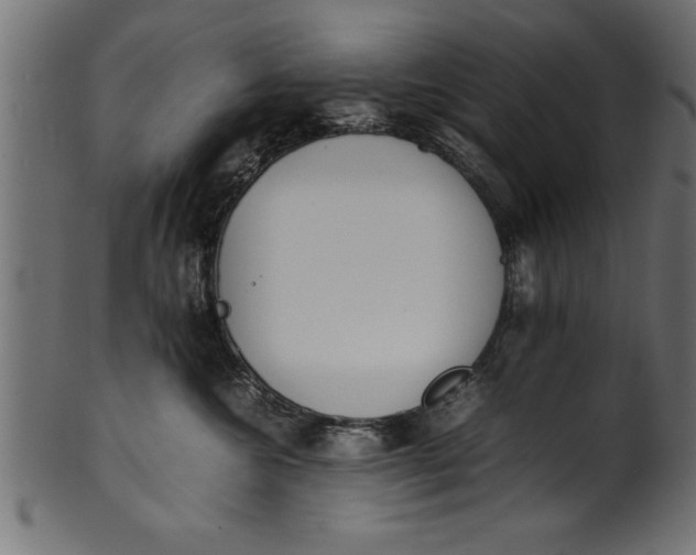 X0000101220572200807181554