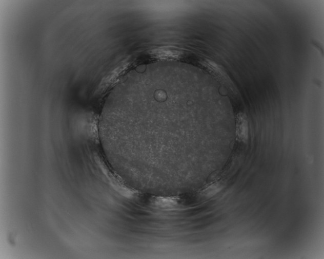 X0000101220573200807181554