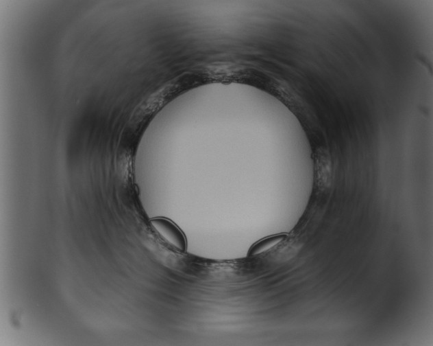 X0000101220574200807181554