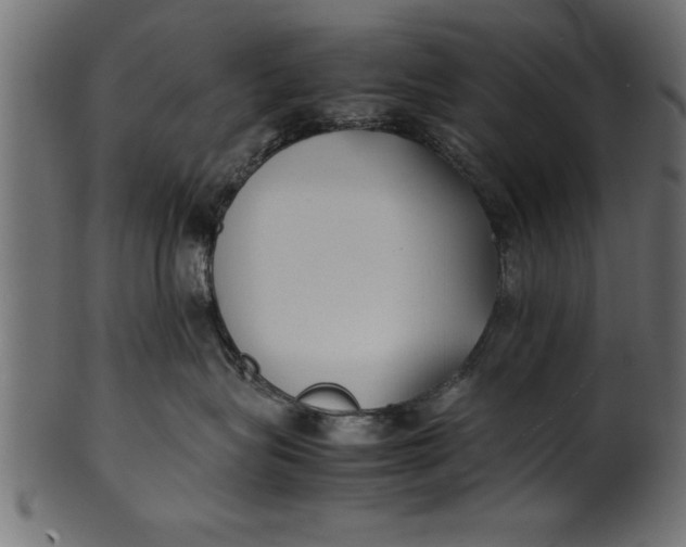 X0000101220575200807181554