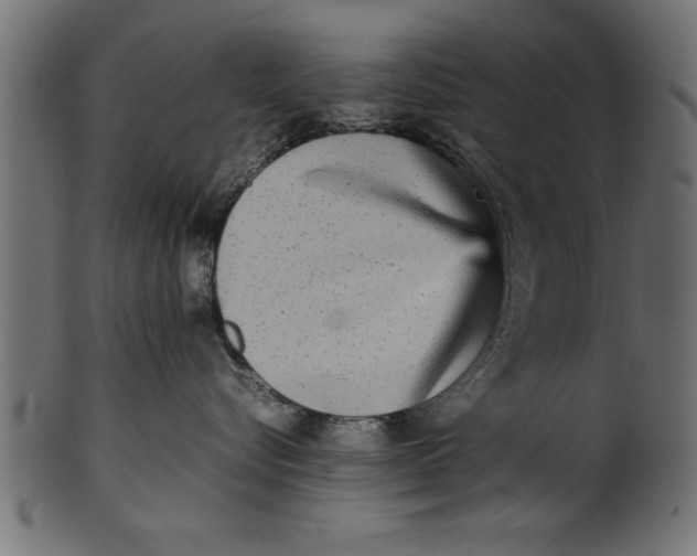 X0000101220576200807181554
