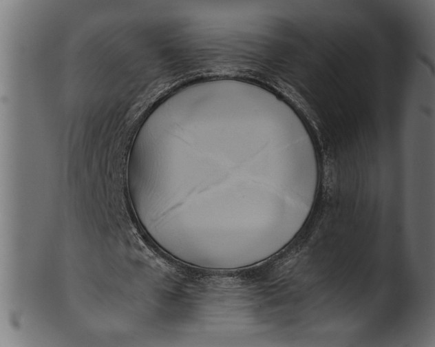 X0000101220577200807181554