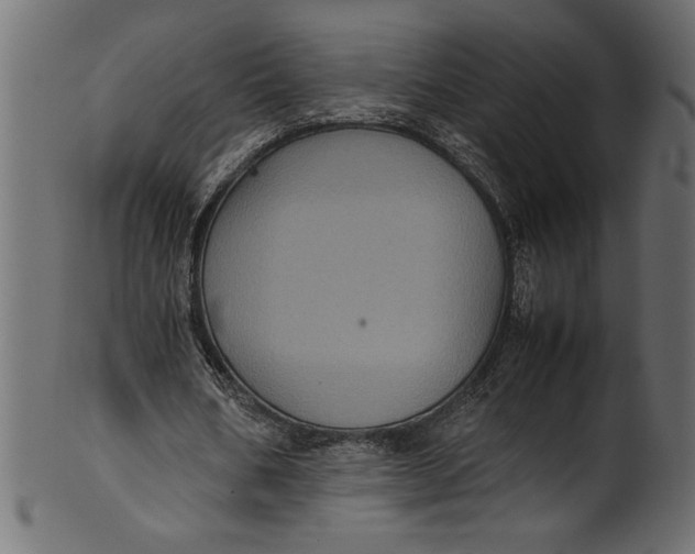 X0000101220578200807181554