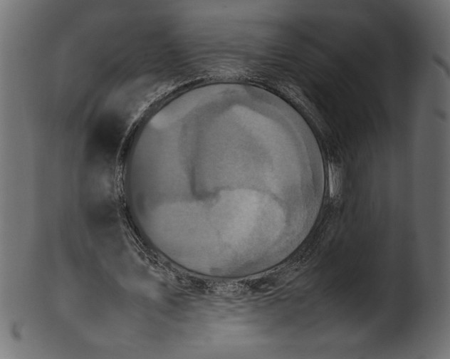X0000101220579200807181554