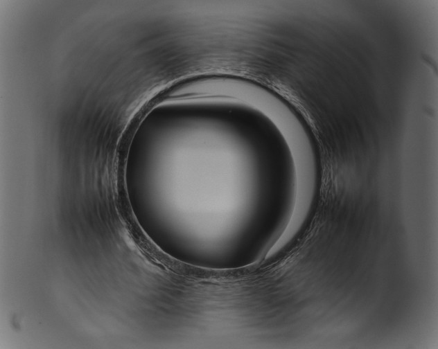X0000101220580200807181554