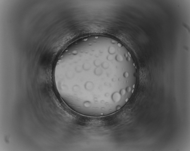 X0000101220581200807181554