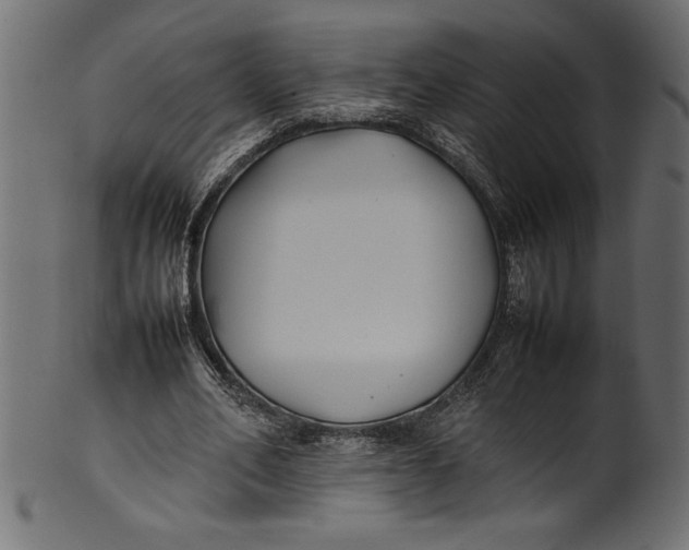 X0000101220582200807181554