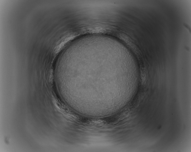 X0000101220583200807181554