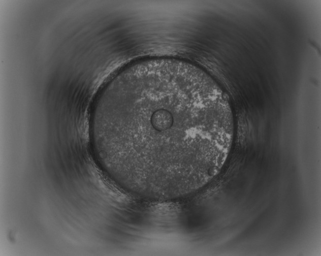 X0000101220584200807181554