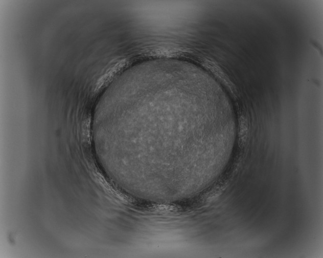 X0000101220585200807181554