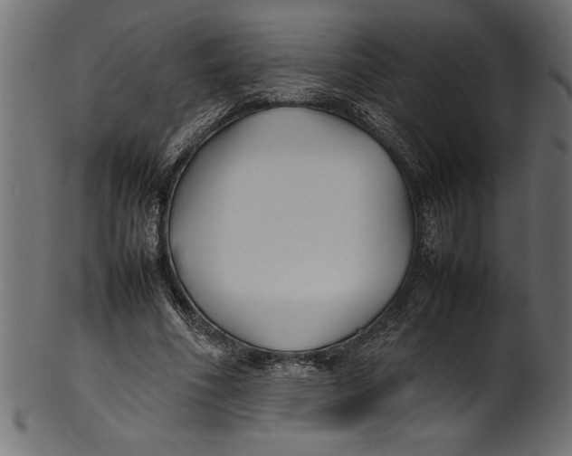 X0000101220586200807181554