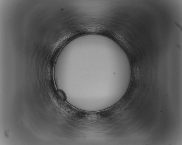 X0000101220587200807181554