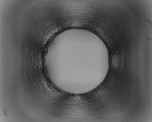 X0000101220588200807181554