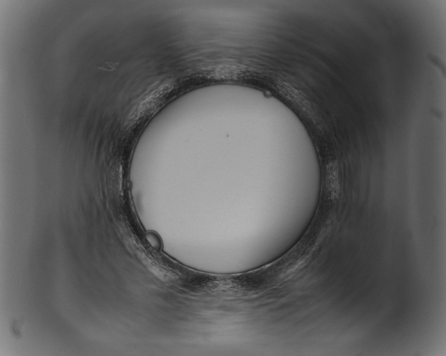 X0000101220589200807181554