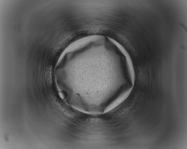 X0000101220590200807181554