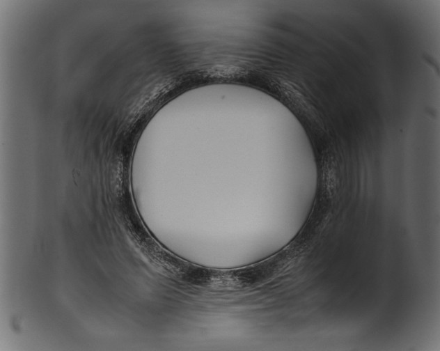 X0000101220591200807181554