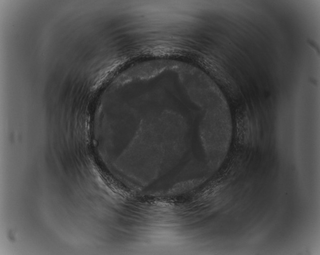 X0000101220592200807181553