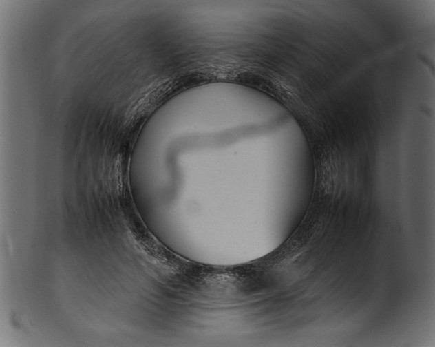 X0000101220594200807181553