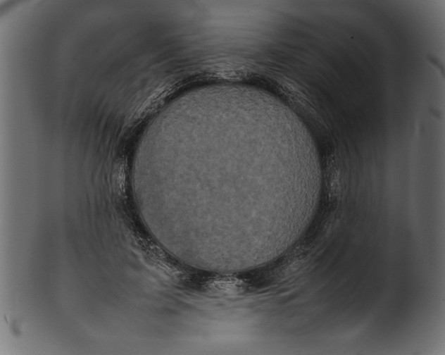 X0000101220595200807181553