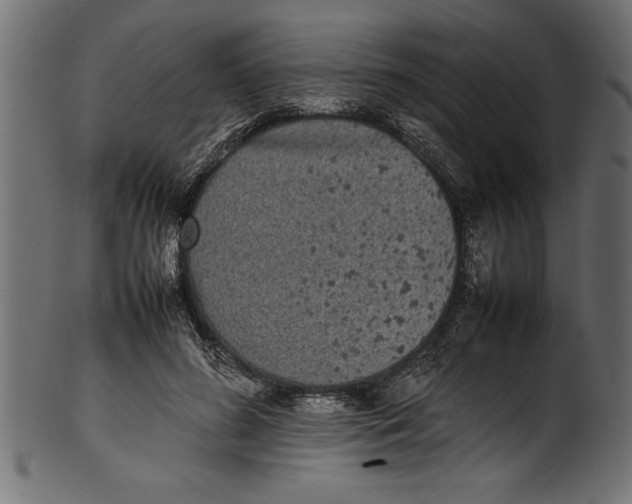 X0000101220596200807181553