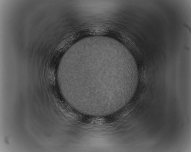 X0000101220599200807181553