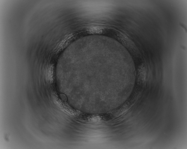 X0000101220600200807181553