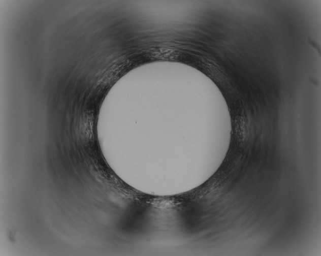 X0000101220602200807181553