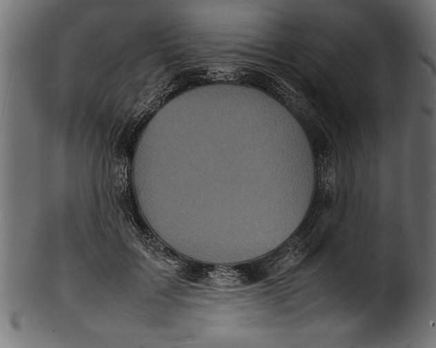 X0000101220603200807181553