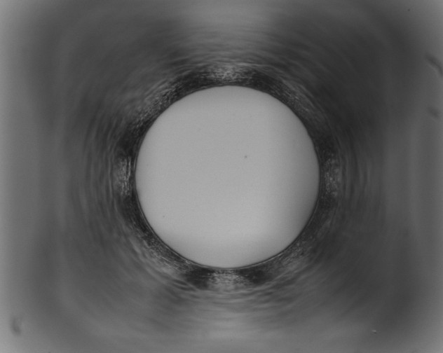 X0000101220605200807181553