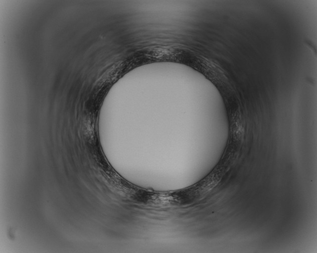 X0000101220607200807181553