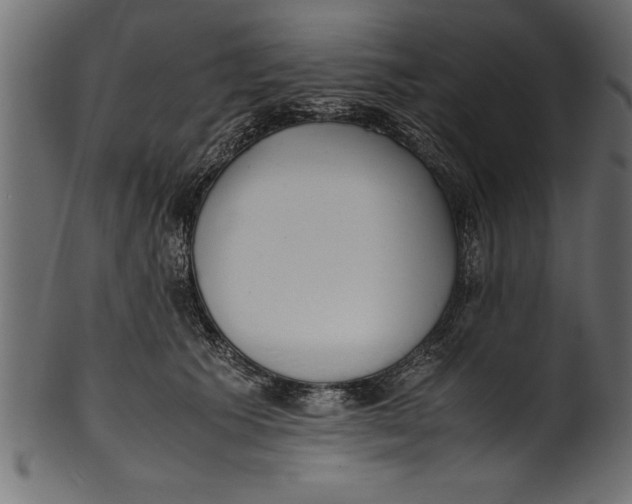 X0000101220609200807181553