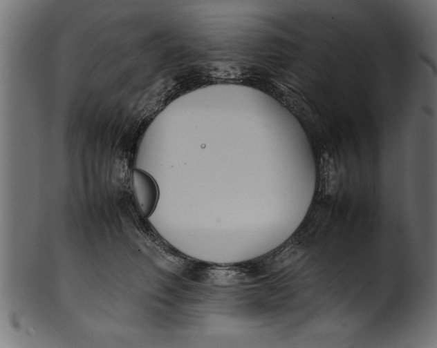 X0000101220614200807181553