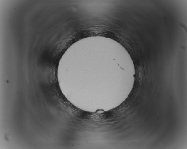 X0000101220615200807181553