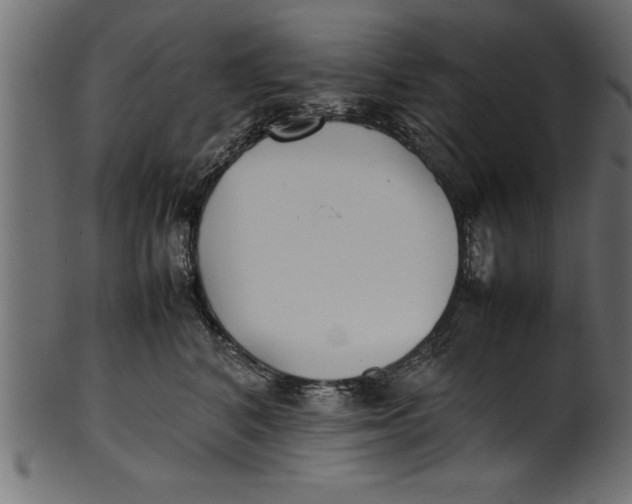 X0000101220616200807181553
