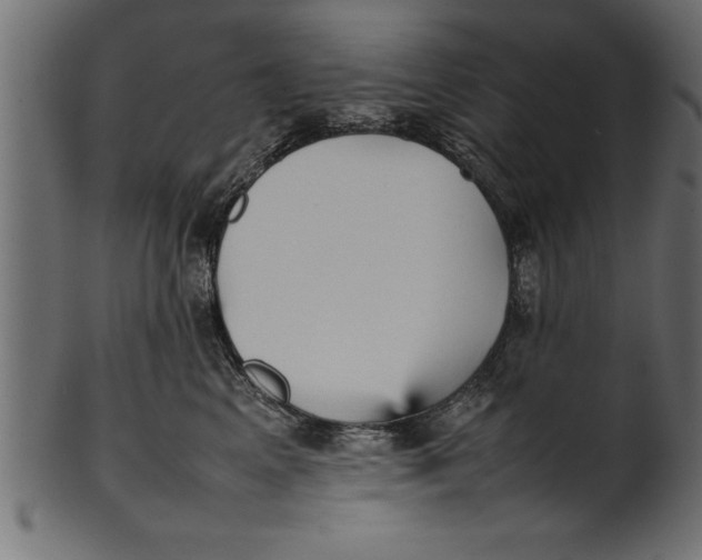 X0000101220617200807181553
