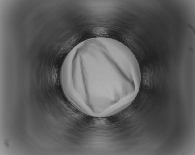 X0000101220618200807181553