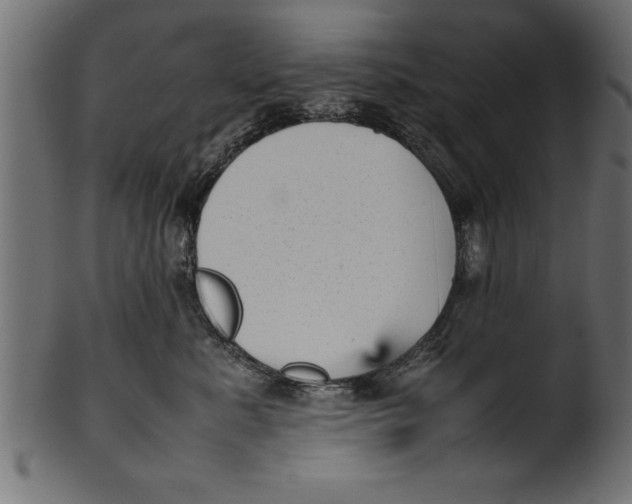 X0000101220619200807181553