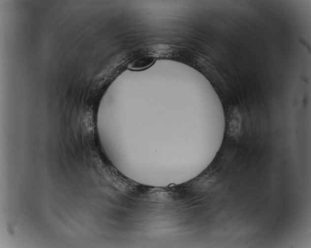 X0000101220620200807181553