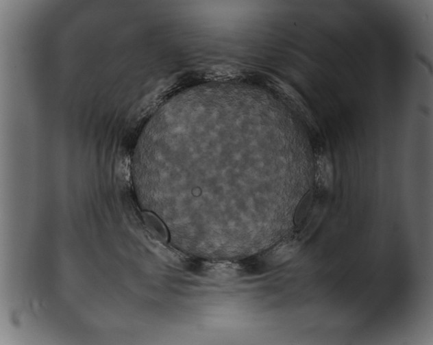 X0000101220621200807181553