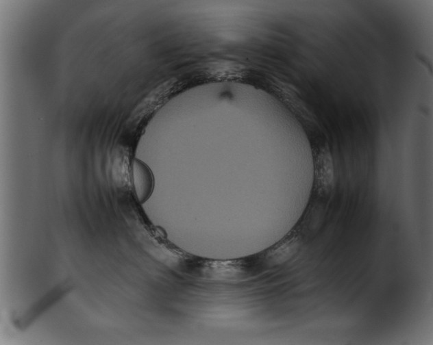 X0000101220622200807181553