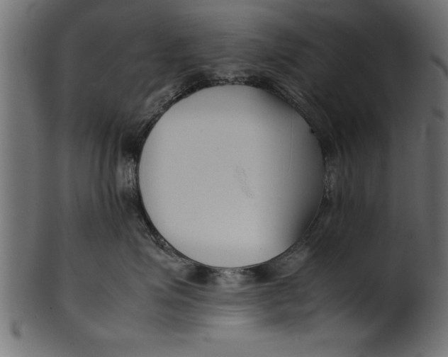 X0000101220623200807181553