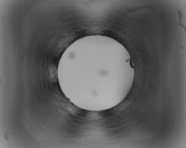 X0000101220624200807181553
