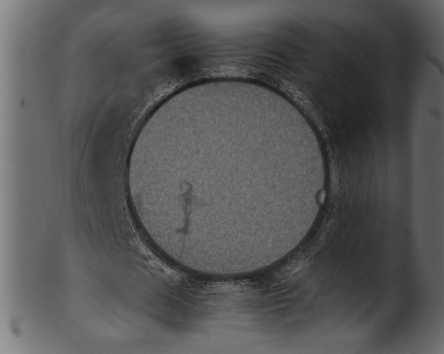 X0000101220625200807181552