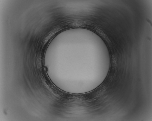 X0000101220626200807181552