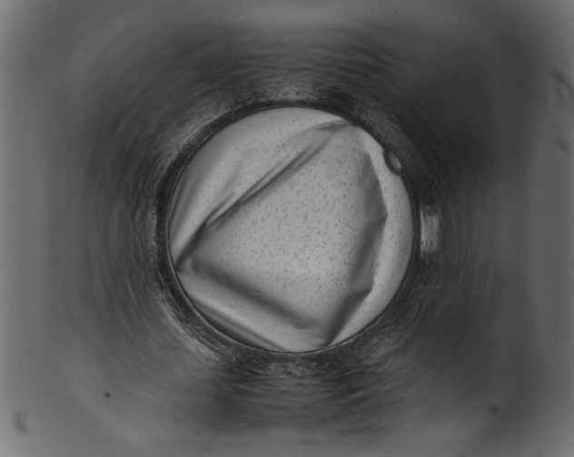 X0000101220627200807181552